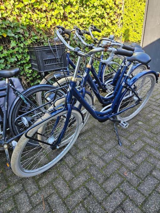 Smalland Loosdrecht Amsterdam المظهر الخارجي الصورة